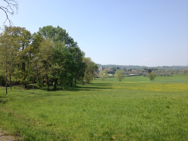 Primo Vere