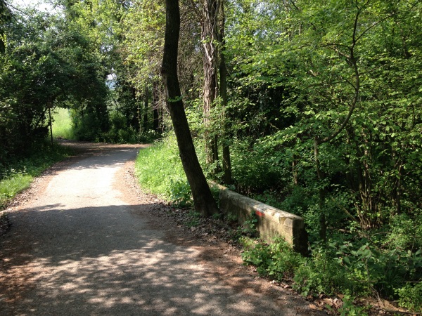 Waldgang